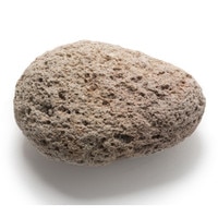 ps-pumice rev.jpg
